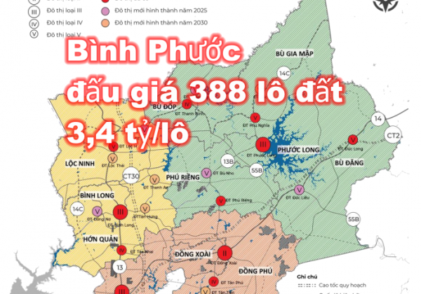 Đầu năm 2024, Bình Phước đấu giá 388 lô đất ở Hớn Quản, Phú Riềng, Bù Gia Mập và Bù Đốp